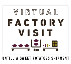 Virtual Factory Visit